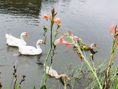 -神光山国家森林公园