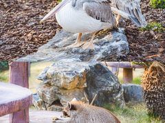 -茅山东方盐湖城景区