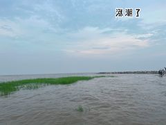 -南汇嘴观海公园