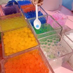 -卡通尼·Safari非洲探索乐园·生日会(金桥国际商业广场店)