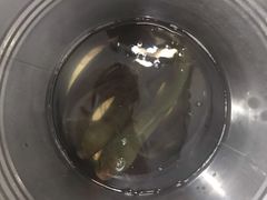 -龙小海荆沙鸽子店(瑞安街店)