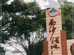 -大湾区中央湿地公园