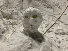 -怪坡国际滑雪场