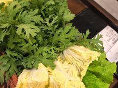 蔬菜拼盘-涮福記·现切牛羊肉火锅(世纪汇店)