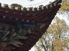 -洛阳白马寺