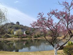 -雅达·阳羡溪山小镇中心