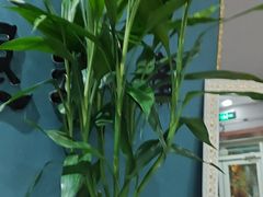 -深蓝盲人推拿·颈肩腰腿疼痛·艾灸调理(清河店)