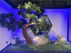 -绿茶餐厅(成都大悦城店)