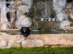 -清迈夜间动物园