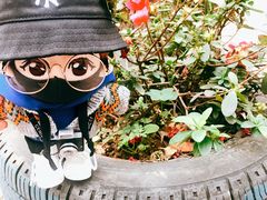 -石井坡(地铁站)