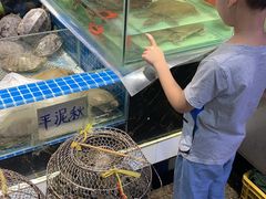 水产区-珠光市场(文德南路)