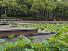 -蠡湖大桥公园