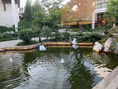 -广富林宰相府酒店·水云间