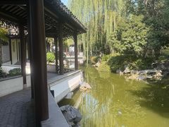 -秋霞圃