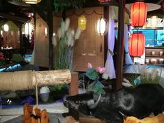 大堂-福满我家大碗厨·湘菜(上海大厦店)