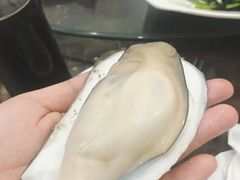 -蚝专家(北滘店)