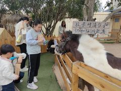 -HERRE·FARM 赫尔露营农场·团建聚会包场