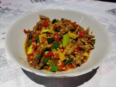 鸭掌筋-壹盏灯(惠农店)