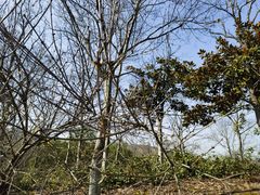 -南山风景名胜区