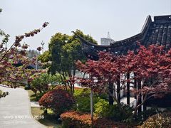 -梅园