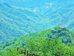 -大岭沟猕猴桃谷风景区
