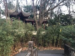 -鲁迅公园-垂钓中心