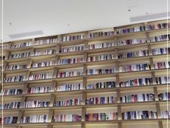 -深影国际影城(学院南路店CGS中国巨幕店)
