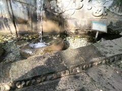 -蝴蝶泉公园