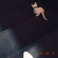 -HMC美容按摩SPA馆