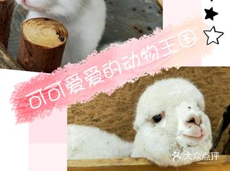 与自然全方位接触，和动物零距离交流