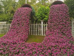 -华雅花园大酒店