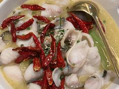 -Aqua Oasis 水天堂(常熟永旺店)