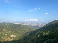 -好成财牛排馆(涂门街总店)