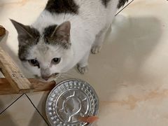 -小赵小吃(城西总店)