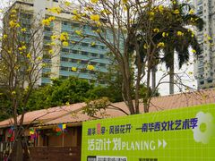 -洲头咀公园