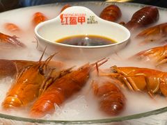 精品冰镇蓝龙虾-红盔甲·小龙虾(人民广场店)