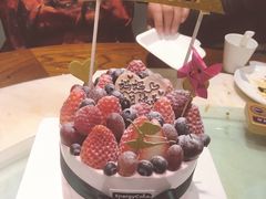 -EnergyCake蛋糕理想国