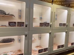 -龙猫仔乐园(惠福东路店)