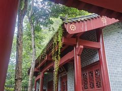 -修水东浒寨风景区