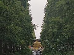 -东平国家森林公园