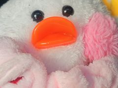 -草窝烤鸭·新京菜(鼓楼店)