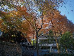 -莫干山风景区