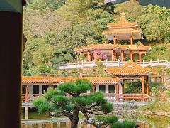 -深圳仙湖植物园