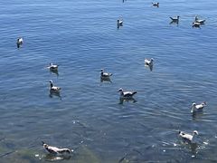 -青海湖二郎剑景区