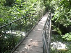 桥-云岫谷自然风景区