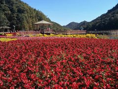 -广州市石门国家森林公园