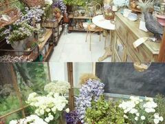 -RGF(巨鹿路店)