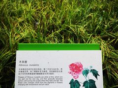 -西湖风景区-江洋畈生态公园