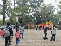 -江心屿景区