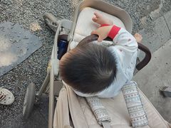 -长洲岛都市农业公园